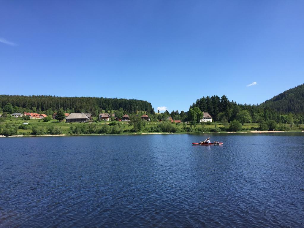 Pension Gloecklehof Тодтнауберг Номер фото