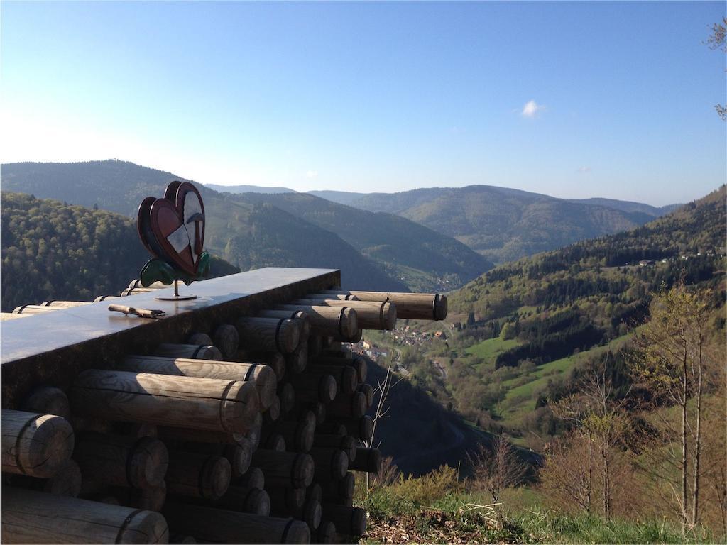 Pension Gloecklehof Тодтнауберг Номер фото